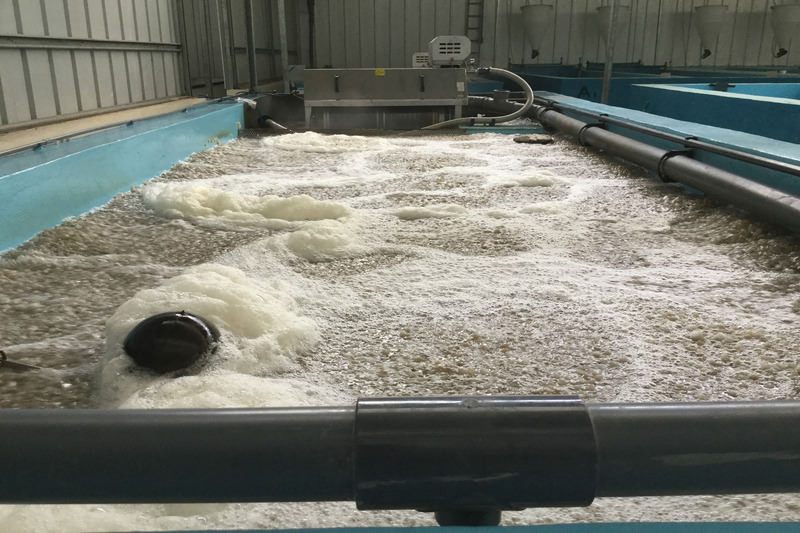 Open new page with biological filtration