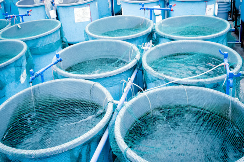 Open new page with pools